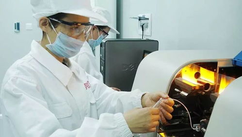 乳品中國(guó)造，完達(dá)山以實(shí)干鑄就國(guó)貨品質(zhì)標(biāo)桿